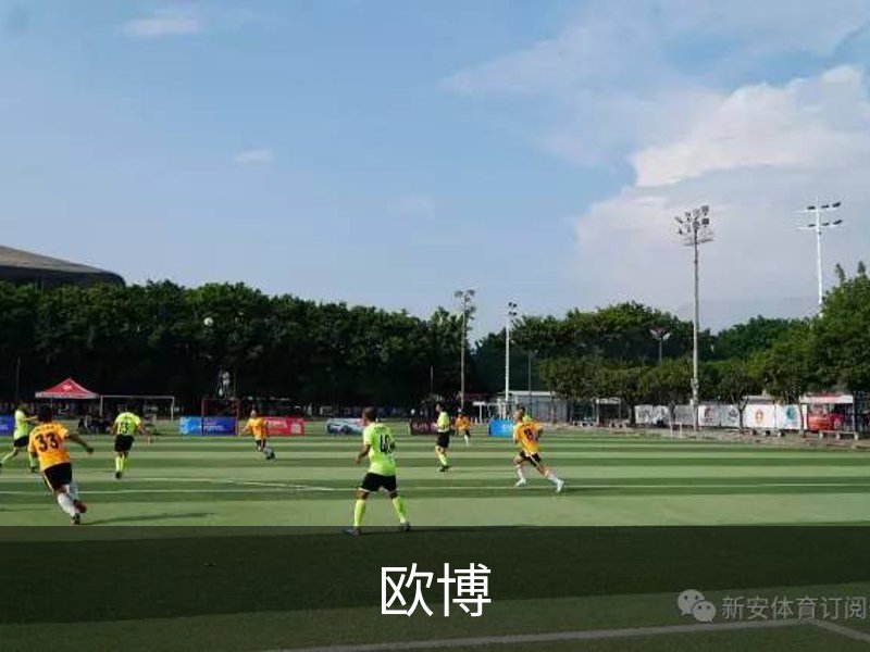 走进欧博
